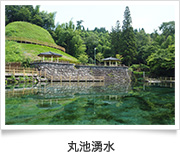 丸池湧水